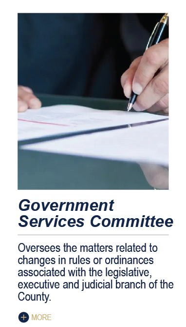 Government Services Committee