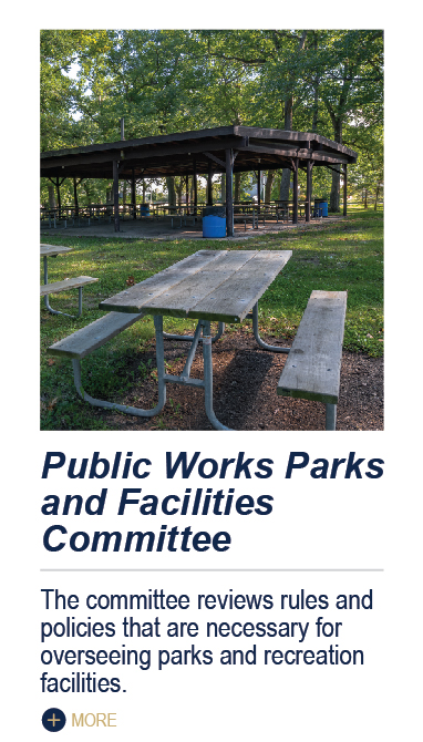 Public Works Parks and Facilities Committee