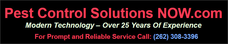 Pest Control Solutions NOW