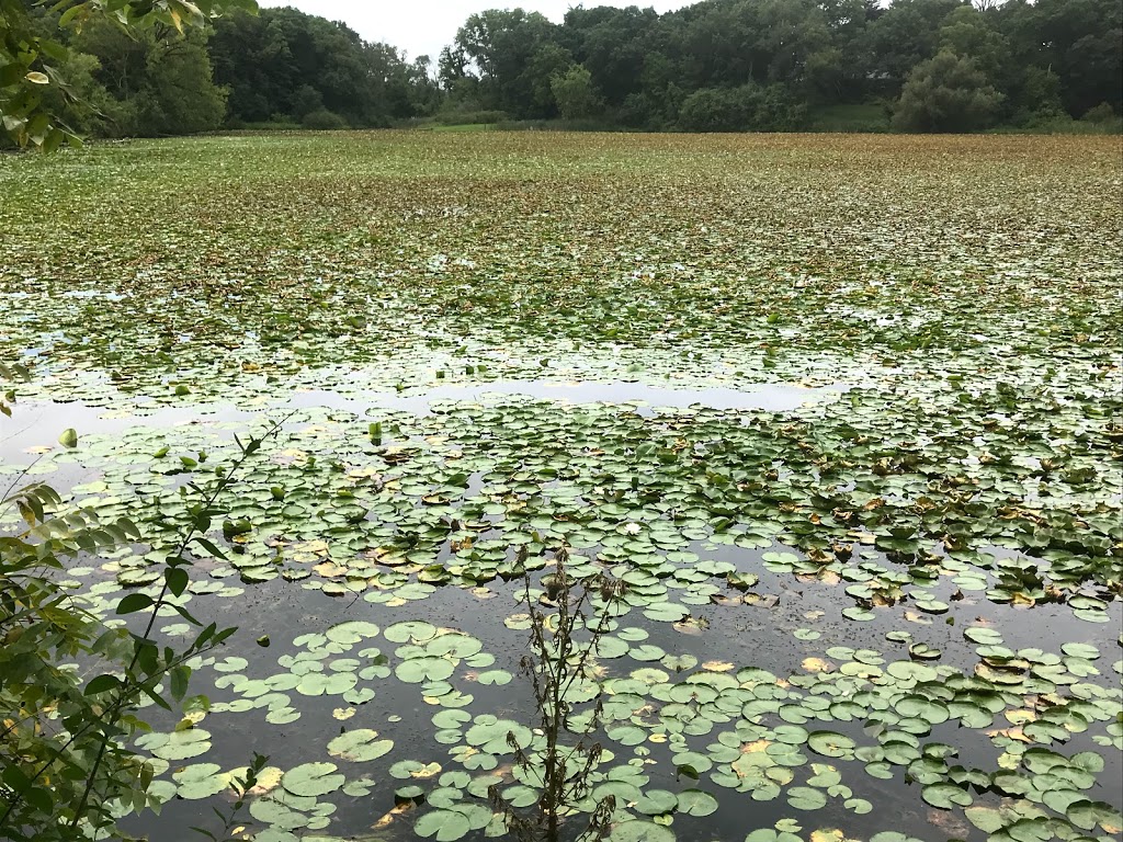 John Margis Wildlife Area Park 2