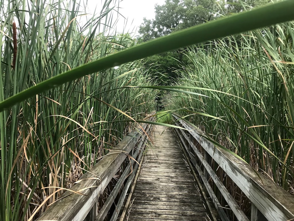 John Margis Wildlife Area Park 4