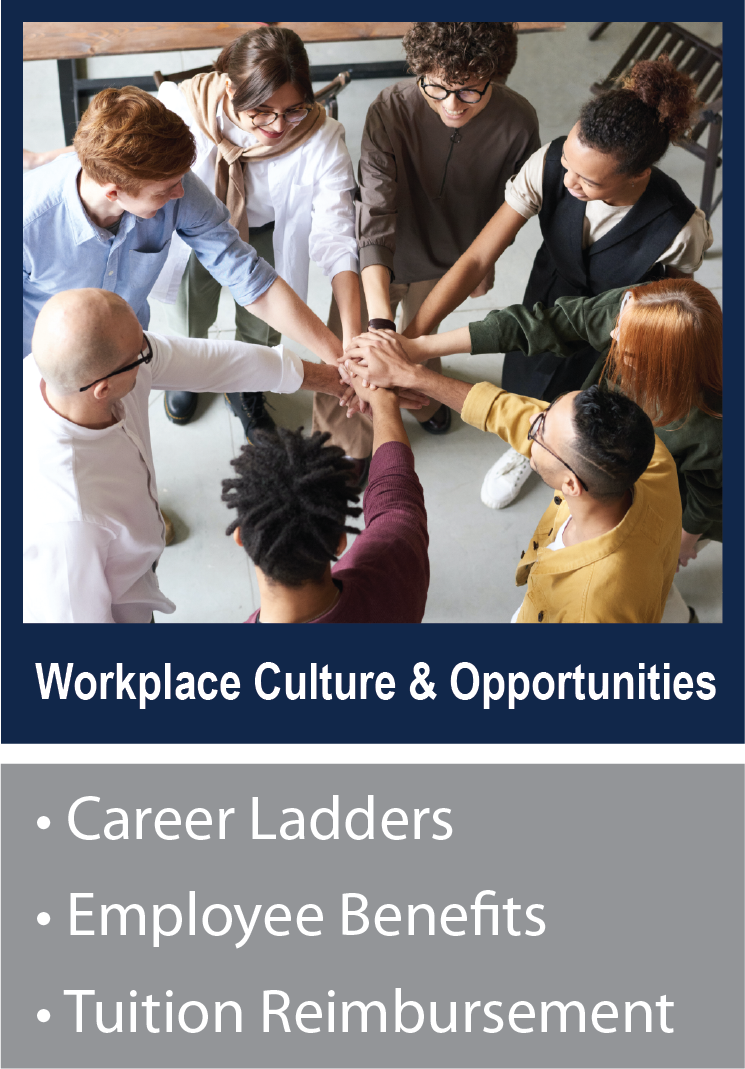 workplace culture and opportunities